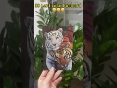 Ηλιόφυλλα του Βαν Γκογκ 3D φακοειδείς καρτ-ποστάλ για μουσεία και γκαλερί