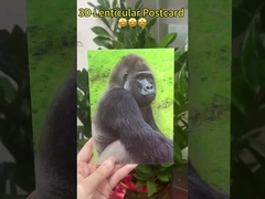 3D αλλαγή εικόνων Επετείου κάρτα Γενέθλια κάρτα γάμου 3D εκτύπωση εικόνων