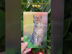 Ηλιόφυλλα του Βαν Γκογκ 3D φακοειδείς καρτ-ποστάλ για μουσεία και γκαλερί