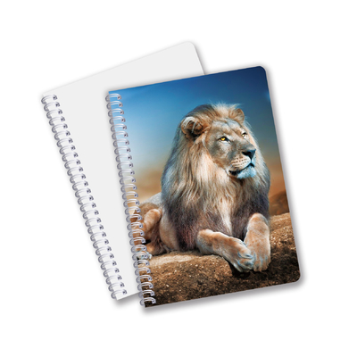 Τελική πώληση 3D Effect 3D Lenticular Printing Notebook Hardcover Σπειροειδής γραμματοκιβώτιο με διάτρητα σημειώματα για παιδιά