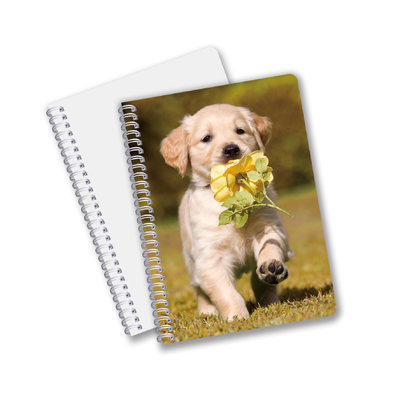 Τελική πώληση 3D Effect 3D Lenticular Printing Notebook Hardcover Σπειροειδής γραμματοκιβώτιο με διάτρητα σημειώματα για παιδιά