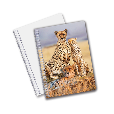 Τελική πώληση 3D Effect 3D Lenticular Printing Notebook Hardcover Σπειροειδής γραμματοκιβώτιο με διάτρητα σημειώματα για παιδιά