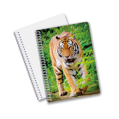 Κίνα Εταιρεία 3D φακοειδών Custom offset Τυπωμένα PET A3/A4/A5/A6 Notebooks
