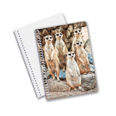 Κίνα Εταιρεία 3D φακοειδών Custom offset Τυπωμένα PET A3/A4/A5/A6 Notebooks