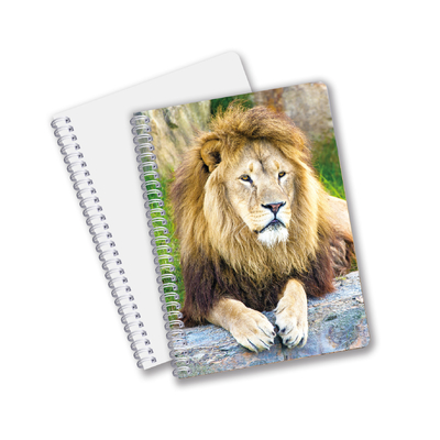 Κίνα Εταιρεία 3D φακοειδών Custom offset Τυπωμένα PET A3/A4/A5/A6 Notebooks