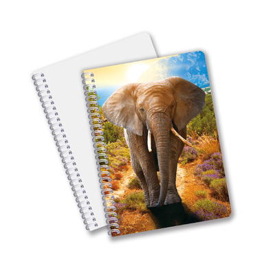 Κίνα Εταιρεία 3D φακοειδών Custom offset Τυπωμένα PET A3/A4/A5/A6 Notebooks