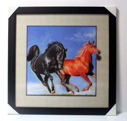 40 X 40cm 3D φακοειδής εικόνα μεγέθους / Προσαρμοσμένη φακοειδής εκτύπωση 3D αφίσα 3D φακοειδής φωτογραφία με ζώο