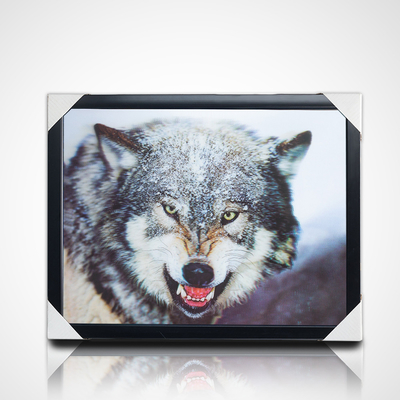 3D φακοειδής ζωγραφική αποθέματα σχέδια PET 40 * 30cm 5D 3D φακοειδής άλογο εικόνα με μαύρο πλαίσιο
