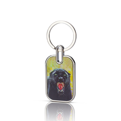Χονδρικό Τύπωση Custom Keychain Cut Διαφανής Διπλής Πλευρής Ακρυλικής Ετικέτας Κλειδί Κρατήρα Κατασκευασμένο στην Κίνα από Χάλυβα Χάλυβα