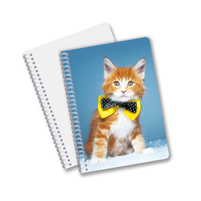 Τελική πώληση 3D Effect 3D Lenticular Printing Notebook Hardcover Σπειροειδής γραμματοκιβώτιο με διάτρητα σημειώματα για παιδιά