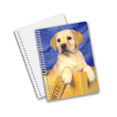 Κίνα Εταιρεία 3D φακοειδών Custom offset Τυπωμένα PET A3/A4/A5/A6 Notebooks