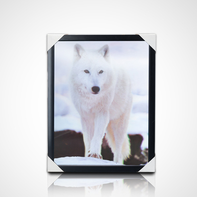 Χονδρικές τοιχογραφίες PET 40*30cm 3D 5D φακοειδή ζώα Παγκόσμια εικόνα με μαύρο πλαίσιο για διακόσμηση καθιστικού